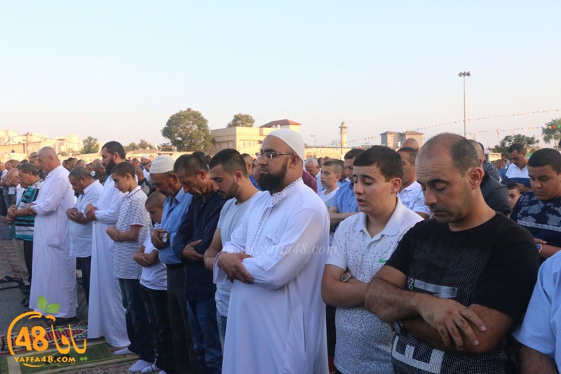 lud sooq salt 3eid (95).jpg